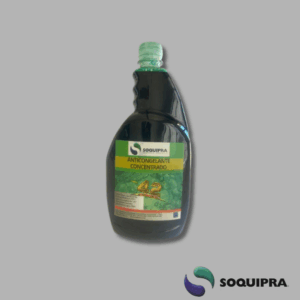 Anticongelante premium -42°